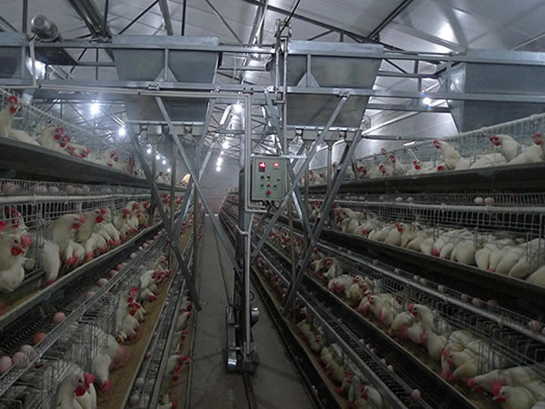 电容式接近蜜桃APP污版 养殖业